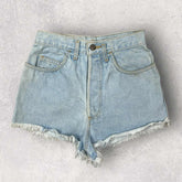 Purple Valley Shorts - W25