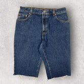 Levi’s 550 Classic Relaxed Shorts - W30