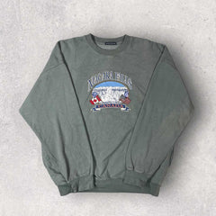 Brandy Melville Niagra Falls Graphic Sweatshirt - ONE SIZE